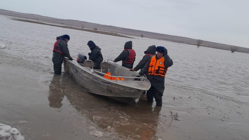 122 голов крупного рогатого скота на лодках спасли сотрудники ДЧС