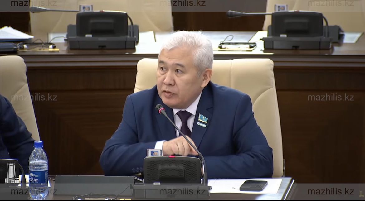 Депутат тарихи сабақтастықты Конституцияда бекітуді ұсынды