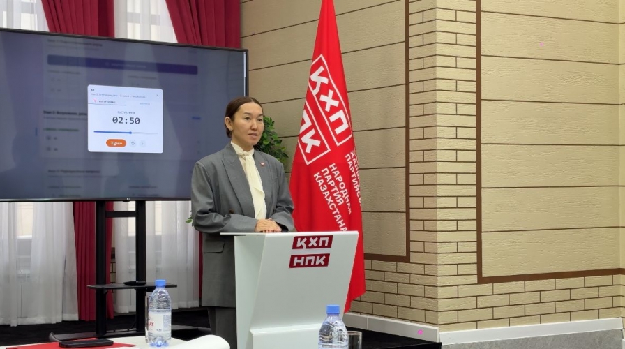 В НПК РК прошли дебаты по проекту новой Конституции