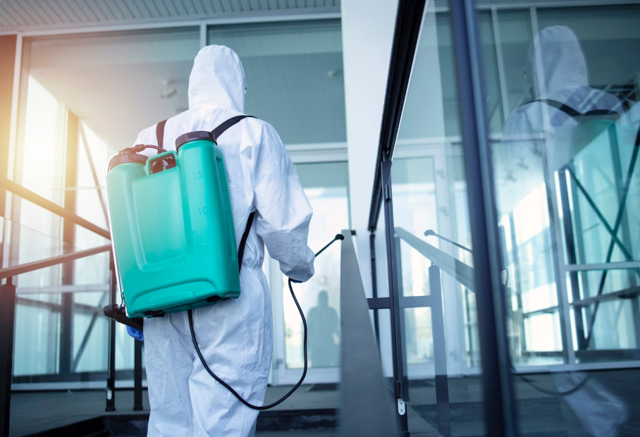 Қостанай облысында мектеп дезинфекция үшін уақытша жабылды