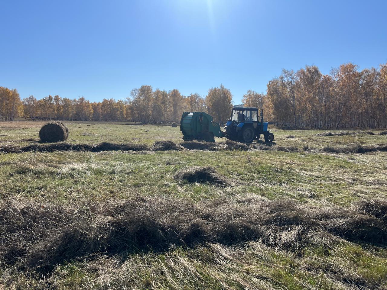 Бурабай ұлттық паркінде жануарларға қысқы  жем-шөп әзірленді