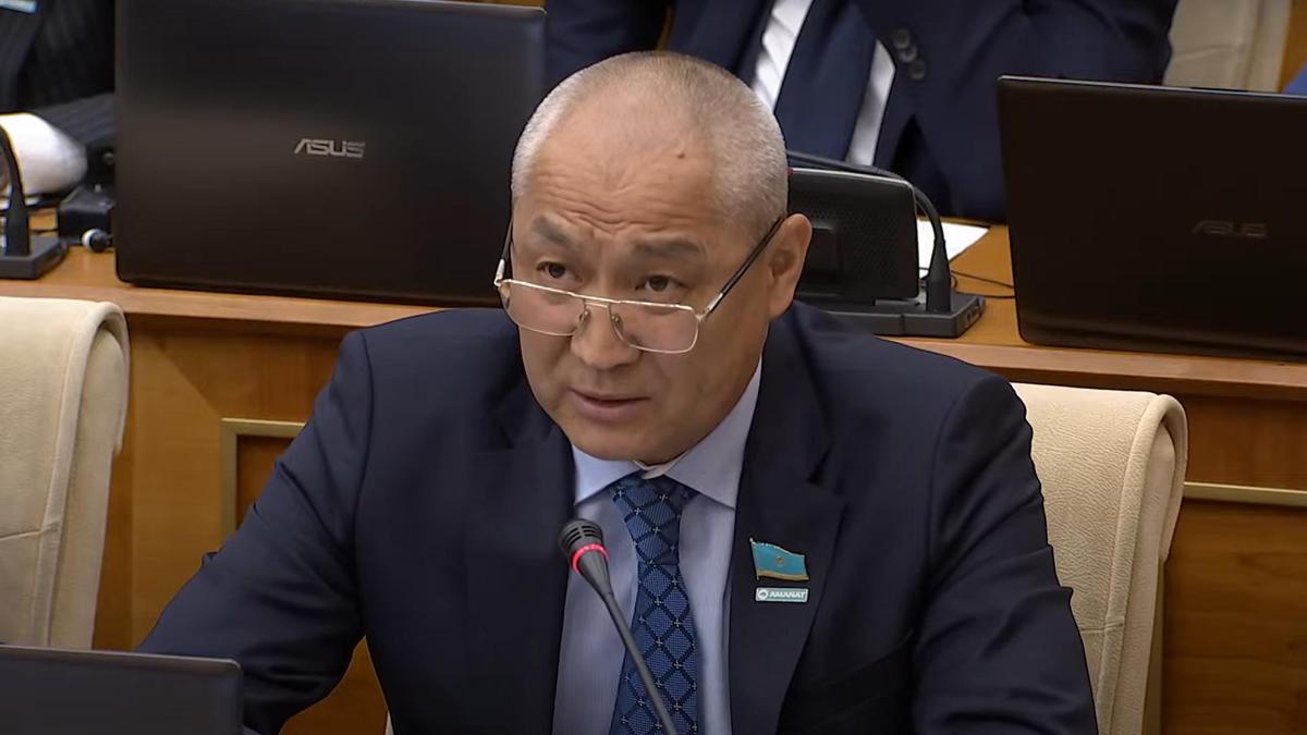 Депутаты потребовали проверить расходование средств на бродячих животных