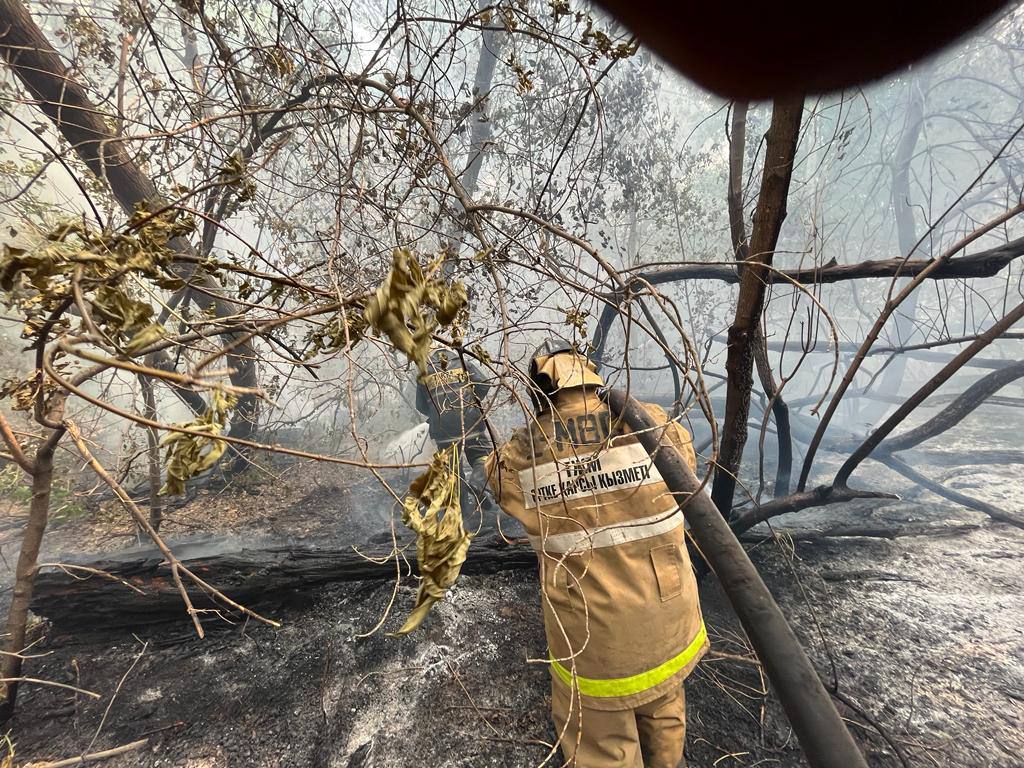 Пожар в Абайской области локализован