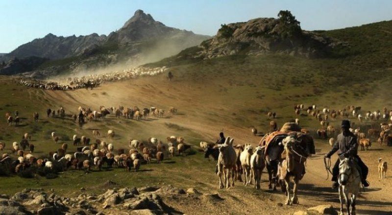 Қазақстанның көшпелі мәдениетінің тарихы: уақыт пен кең дала үндестігі